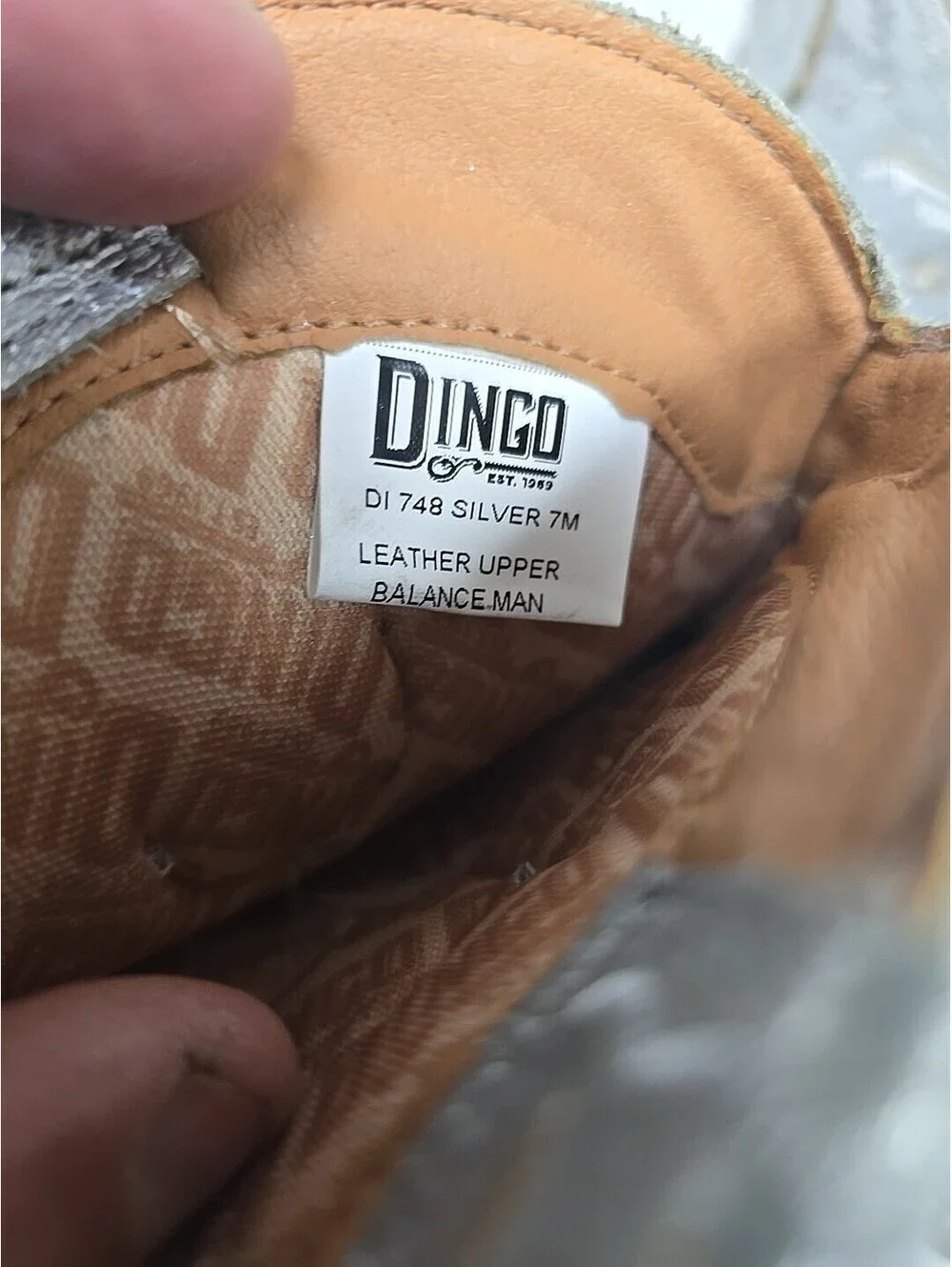 dingo new without